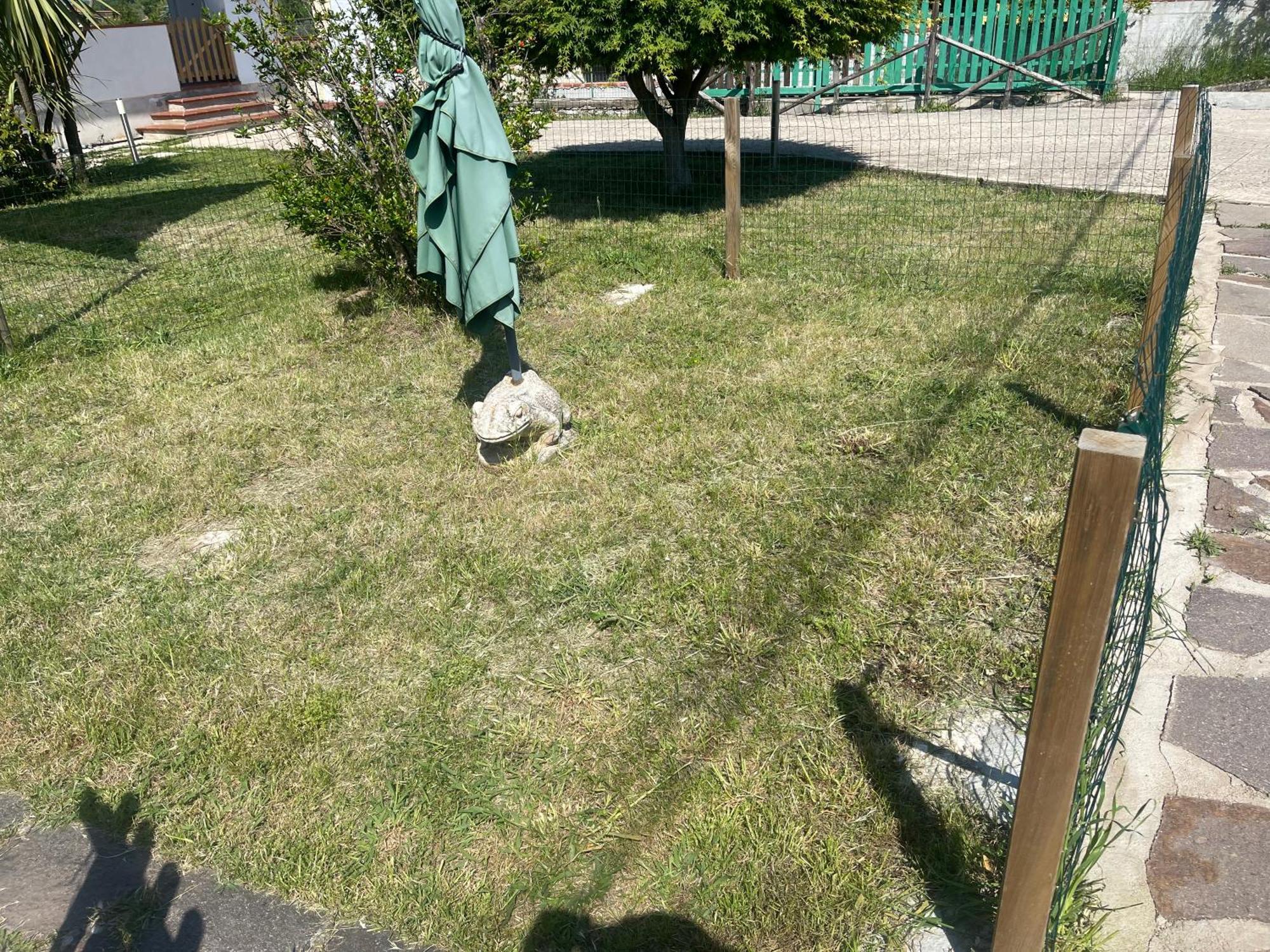 Villa Lidia & Attico Degli Artisti, Free Pets , Giardino Recintato E Attrezzato Minturno Εξωτερικό φωτογραφία